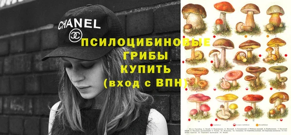 гашик Костерёво