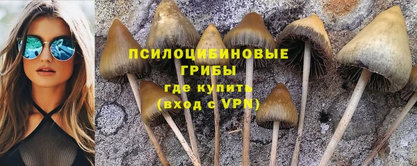 гидропоника Козельск