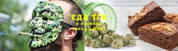 дживик Корсаков